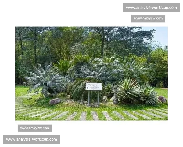 金杯赛非洲独苗：南非 2005 年的跨洋之旅