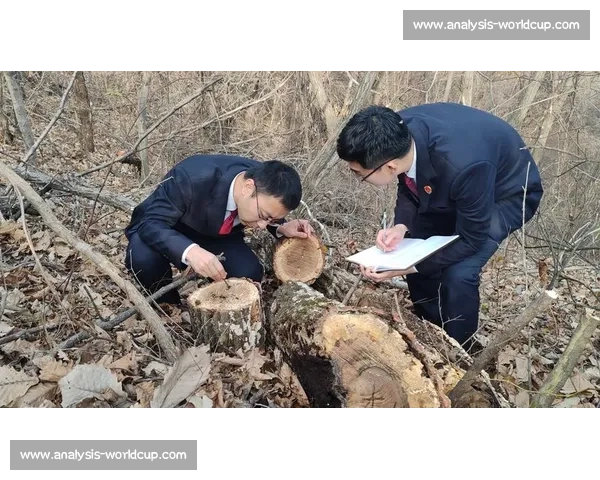 千骑竞速成都百公里绿道：穿越生态画卷的速度与诗意